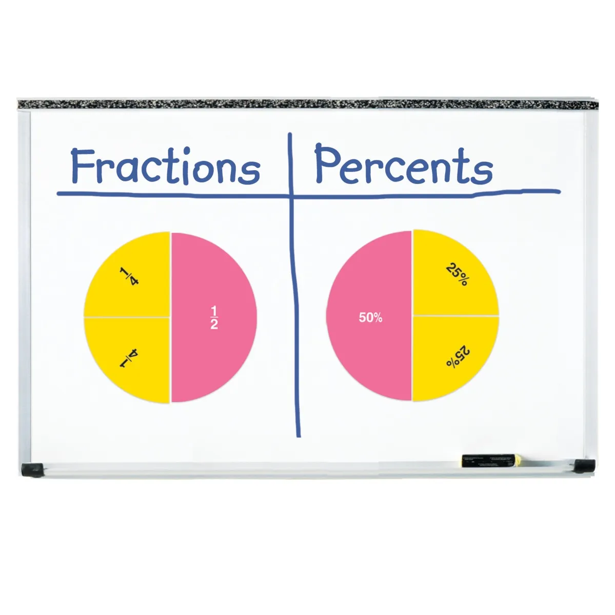 Double-Sided Magnetic Demonstration Rainbow Fraction® Circles - Image 3