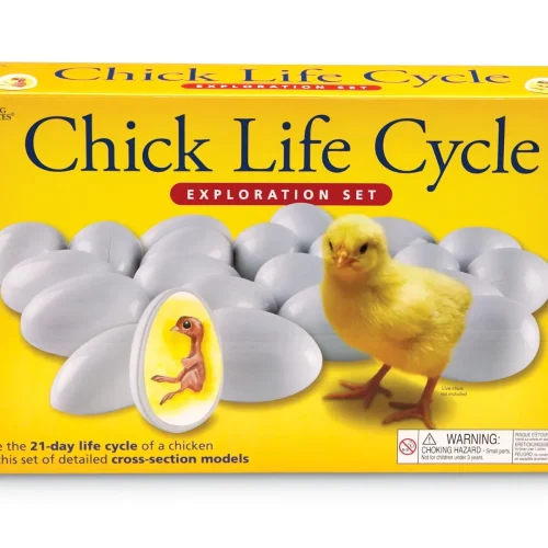 Alternative view of Chick Life Cycle Exploration Set