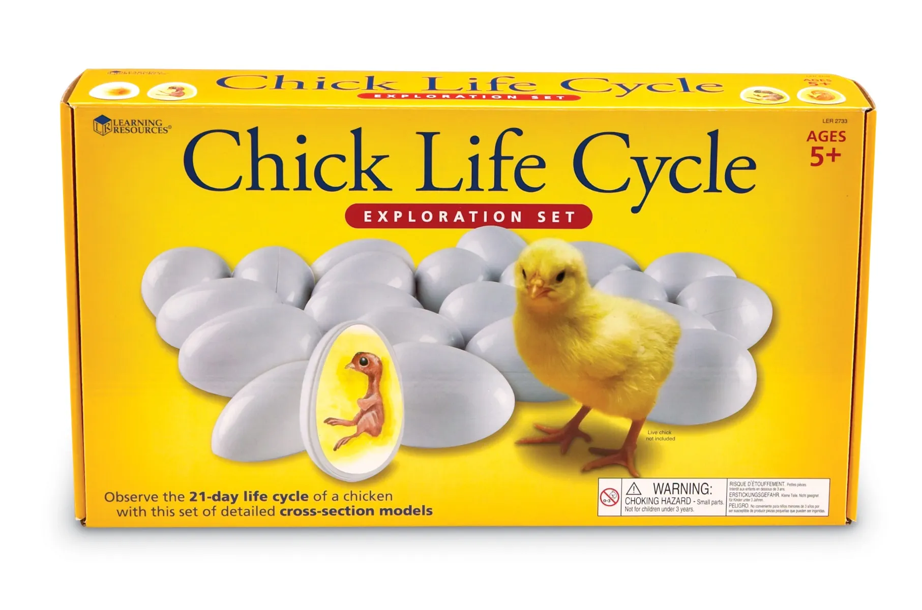 Chick Life Cycle Exploration Set - Image 2