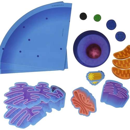 Giant Magnetic Animal Cell