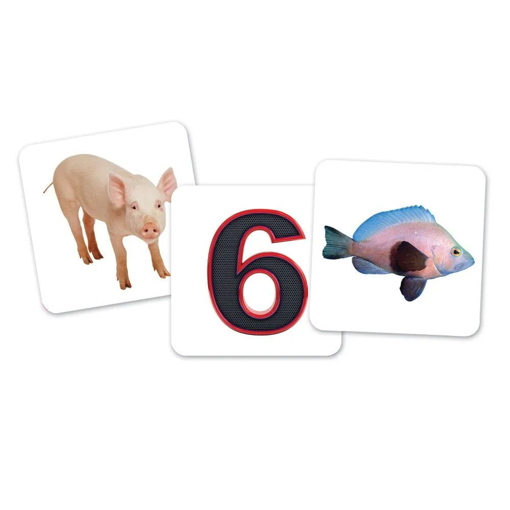 Vowel Owls™ Sorting Set - Image 7