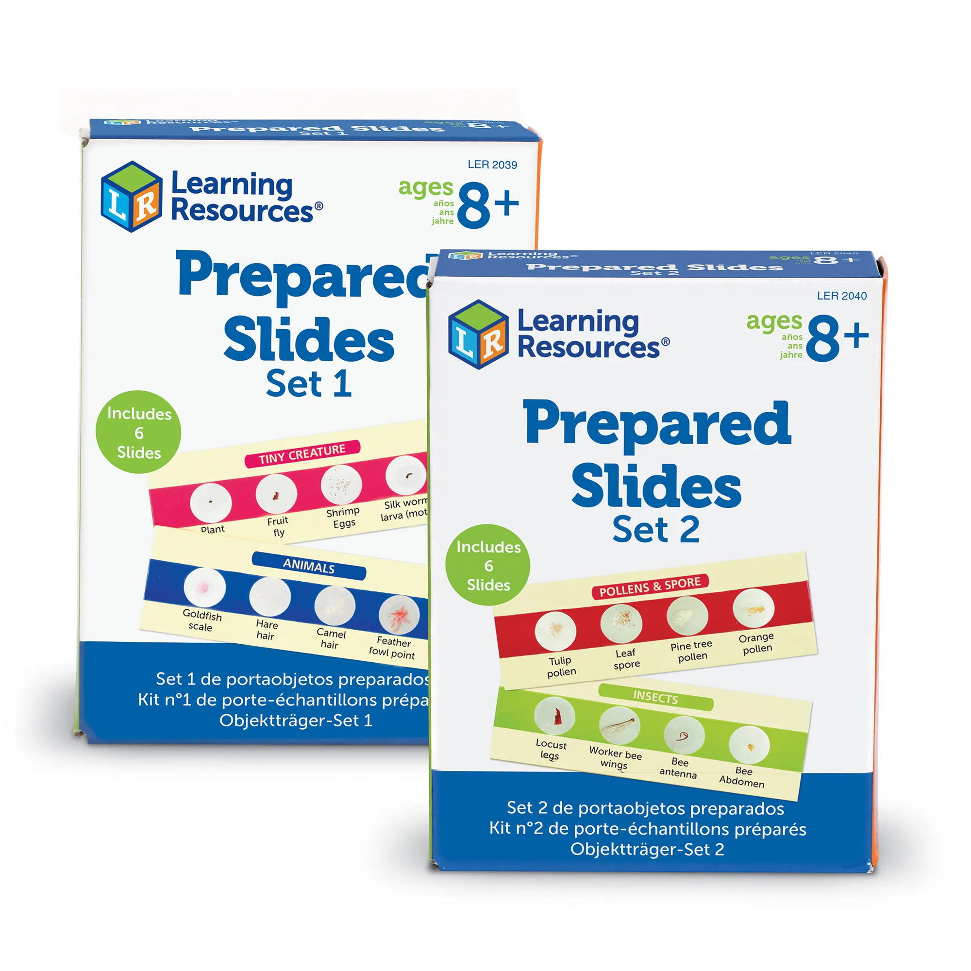 Prepared Slides Bundle: Set I & II - Image 4
