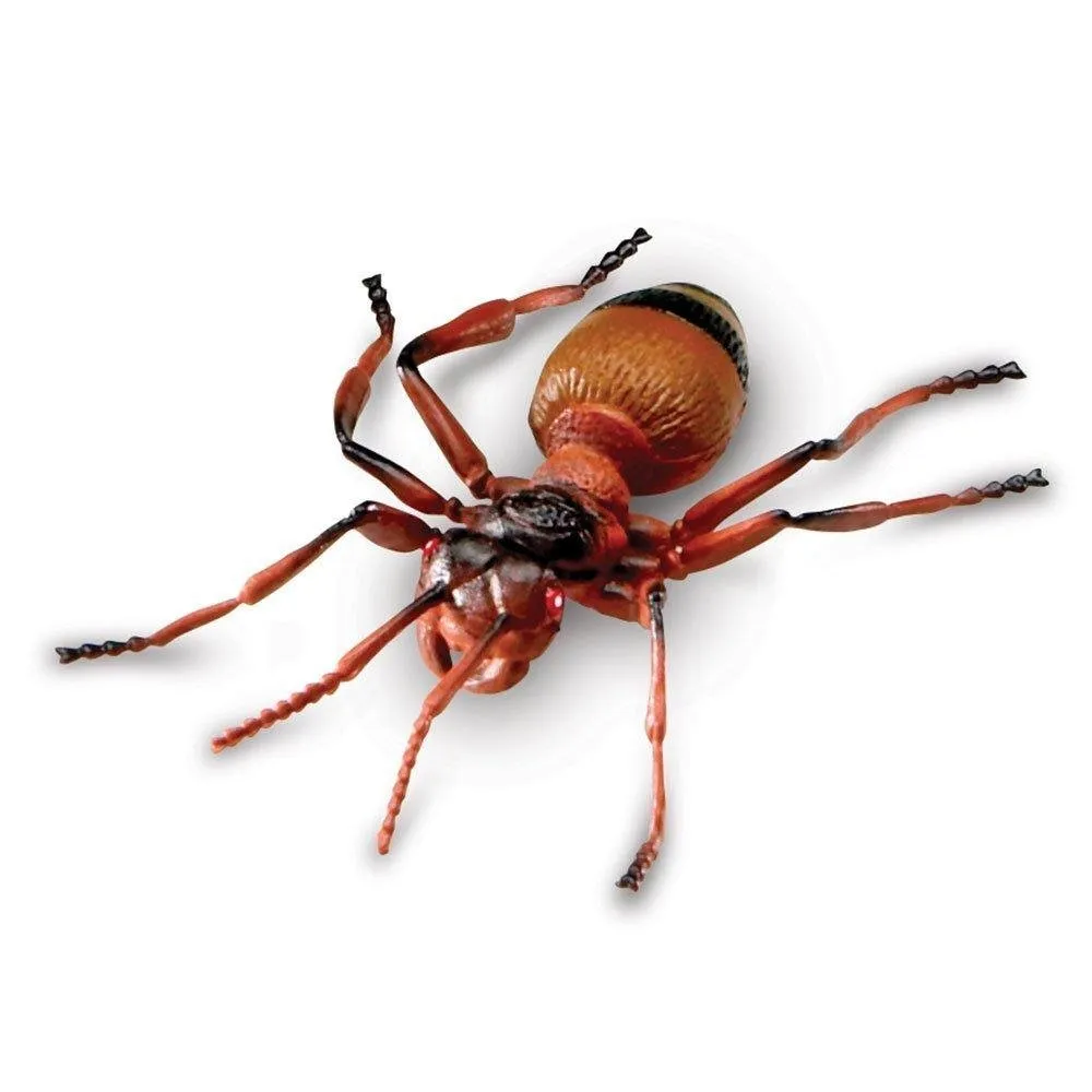 Learning Resources Puzzle Jumbo Insects - Image 7