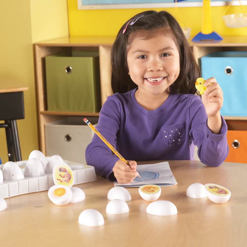 Chick Life Cycle Exploration Set - Image 6