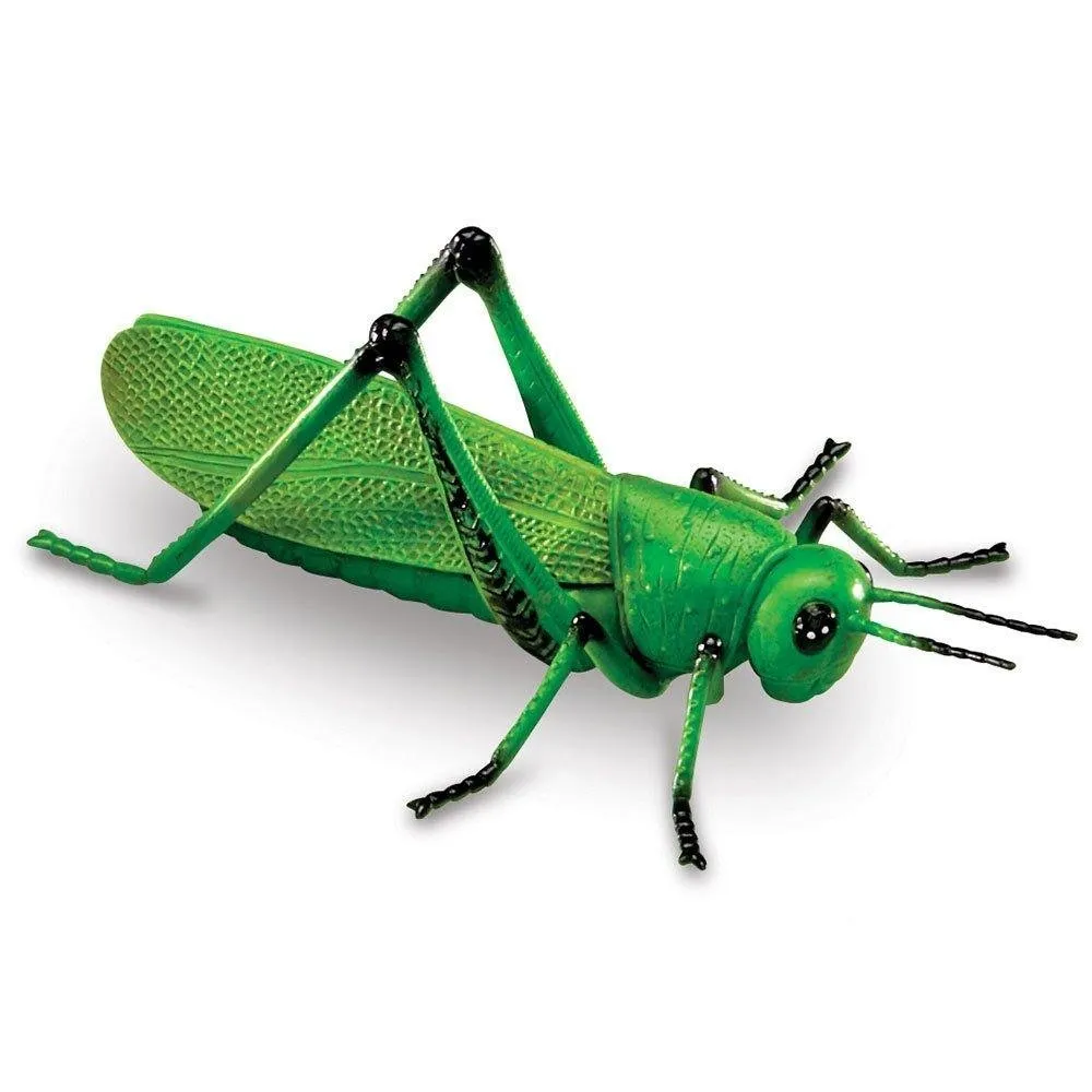 Learning Resources Puzzle Jumbo Insects - Image 5