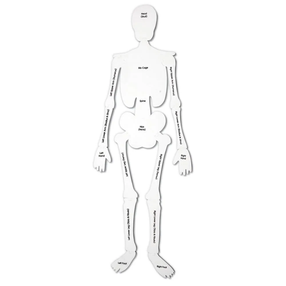 Learning Resources Puzzle Skeleton Foam Floor Puzzle - Image 3