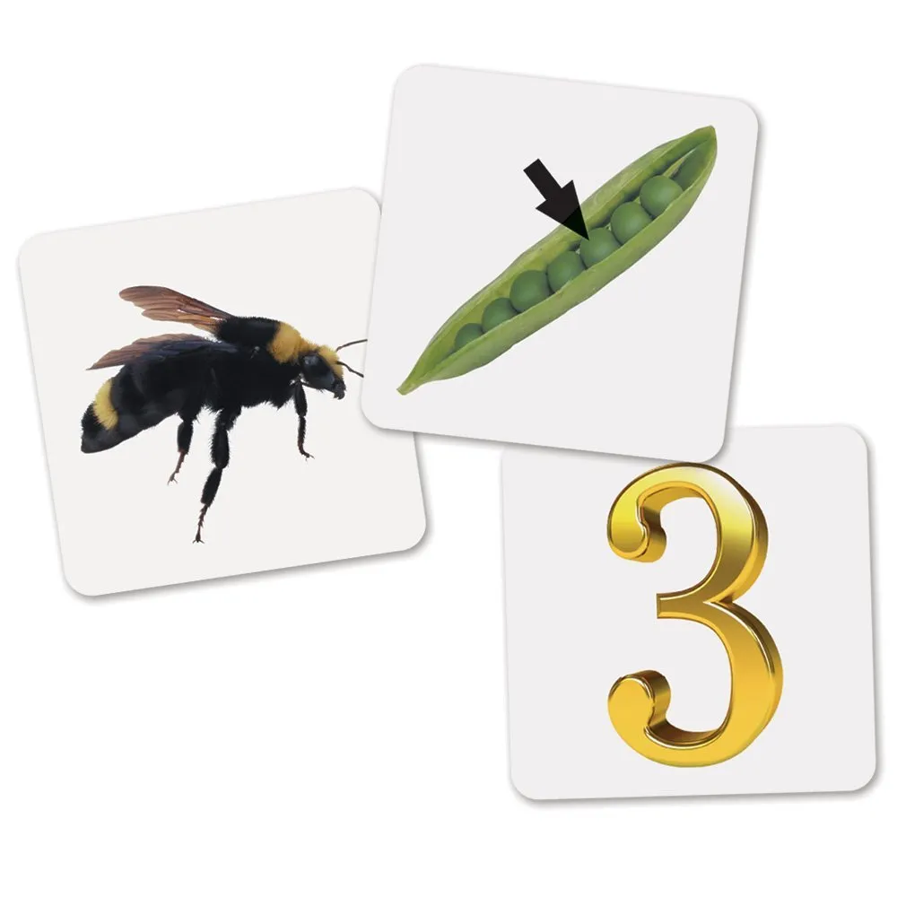 Learning Resources Puzzle Rhyme & Sort Rockets - Image 5