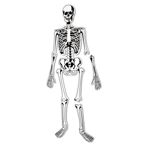 Learning Resources Puzzle Skeleton Foam Floor Puzzle